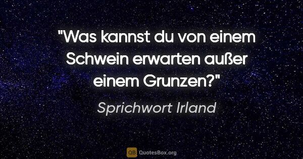 Sprichwort Irland Zitat: "Was kannst du von einem Schwein erwarten außer einem Grunzen?"