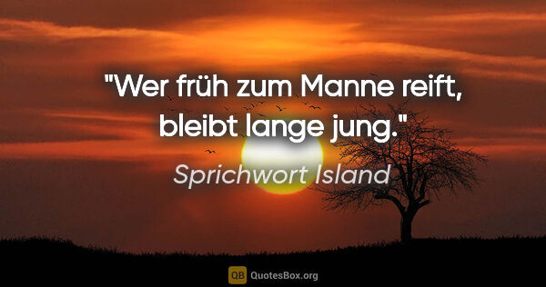 Sprichwort Island Zitat: "Wer früh zum Manne reift, bleibt lange jung."