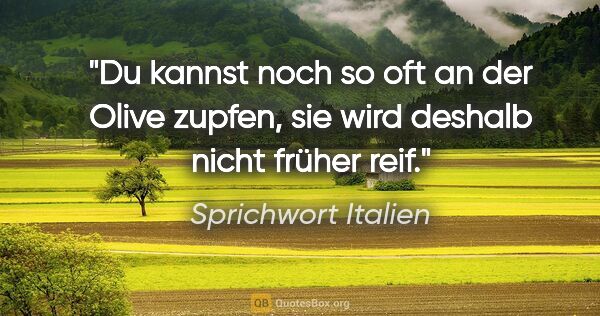 Sprichwort Italien Zitat: "Du kannst noch so oft an der Olive zupfen, sie wird deshalb..."