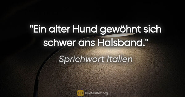 Sprichwort Italien Zitat: "Ein alter Hund gewöhnt sich schwer ans Halsband."