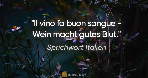 Sprichwort Italien Zitat: "II vino fa buon sangue - Wein macht gutes Blut."