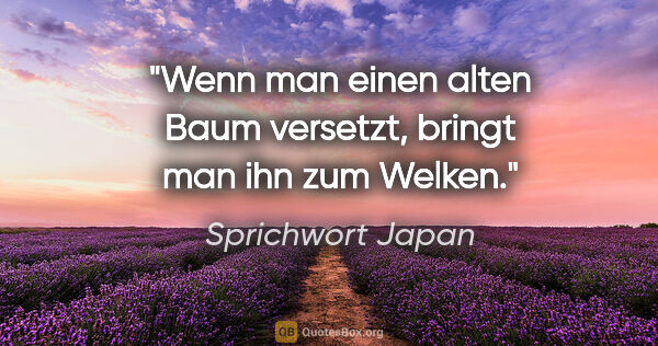 Sprichwort Japan Zitat: "Wenn man einen alten Baum versetzt, bringt man ihn zum Welken."