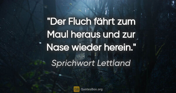 Sprichwort Lettland Zitat: "Der Fluch fährt zum Maul heraus und zur Nase wieder herein."