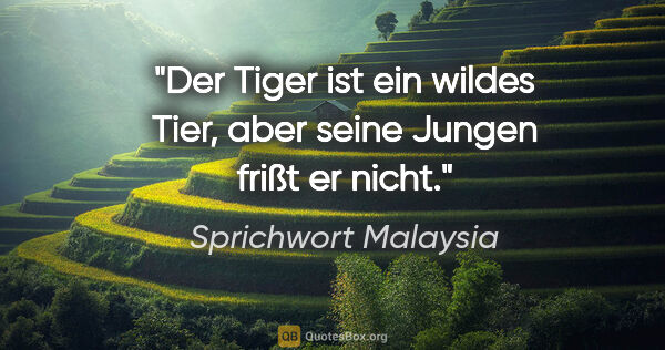 Sprichwort Malaysia Zitat: "Der Tiger ist ein wildes Tier, aber seine Jungen frißt er nicht."