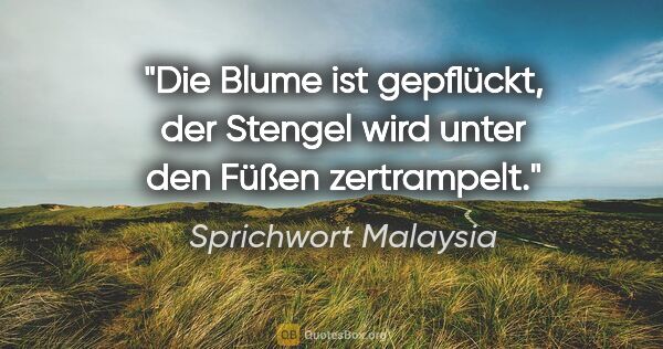 Sprichwort Malaysia Zitat: "Die Blume ist gepflückt, der Stengel wird unter den Füßen..."