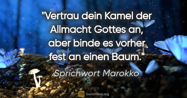 Sprichwort Marokko Zitat: "Vertrau dein Kamel der Allmacht Gottes an, aber binde es..."