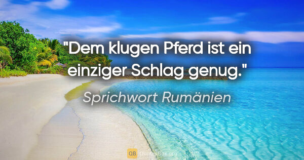 Sprichwort Rumänien Zitat: "Dem klugen Pferd ist ein einziger Schlag genug."