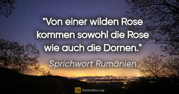 Sprichwort Rumänien Zitat: "Von einer wilden Rose kommen sowohl die Rose wie auch die Dornen."
