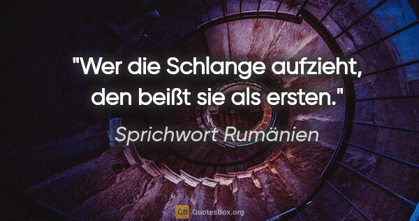 Sprichwort Rumänien Zitat: "Wer die Schlange aufzieht, den beißt sie als ersten."