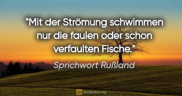 Sprichwort Rußland Zitat: "Mit der Strömung schwimmen nur die faulen oder schon..."