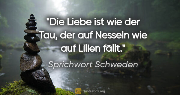 Sprichwort Schweden Zitat: "Die Liebe ist wie der Tau, der auf Nesseln wie auf Lilien fällt."