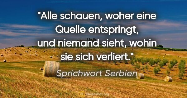 Sprichwort Serbien Zitat: "Alle schauen, woher eine Quelle entspringt, und niemand sieht,..."