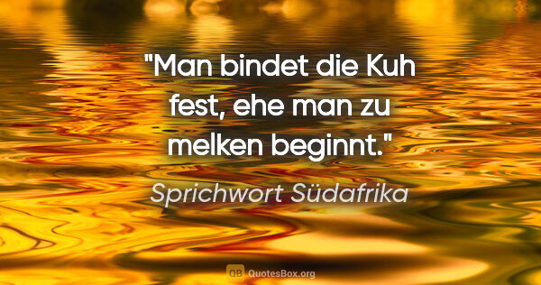 Sprichwort Südafrika Zitat: "Man bindet die Kuh fest, ehe man zu melken beginnt."