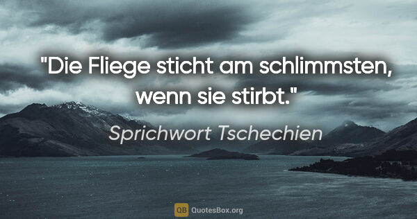 Sprichwort Tschechien Zitat: "Die Fliege sticht am schlimmsten, wenn sie stirbt."