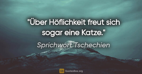 Sprichwort Tschechien Zitat: "Über Höflichkeit freut sich sogar eine Katze."