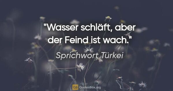 Sprichwort Türkei Zitat: "Wasser schläft, aber der Feind ist wach."