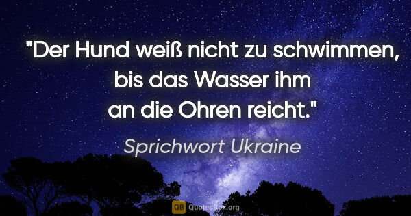 Sprichwort Ukraine Zitat: "Der Hund weiß nicht zu schwimmen, bis das Wasser ihm an die..."