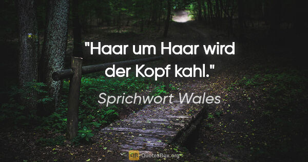 Sprichwort Wales Zitat: "Haar um Haar wird der Kopf kahl."