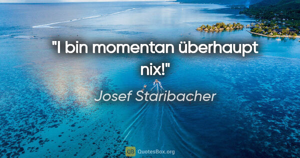 Josef Staribacher Zitat: "I bin momentan überhaupt nix!"