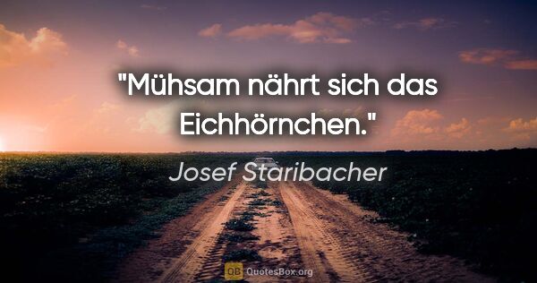 Josef Staribacher Zitat: "Mühsam nährt sich das Eichhörnchen."