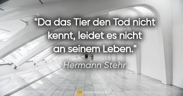 Hermann Stehr Zitat: "Da das Tier den Tod nicht kennt, leidet es nicht an seinem Leben."