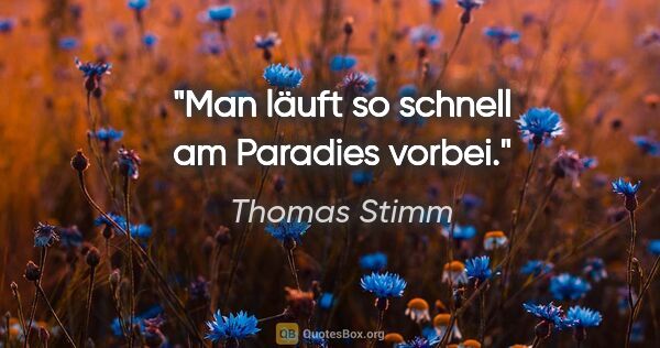 Thomas Stimm Zitat: "Man läuft so schnell am Paradies vorbei."
