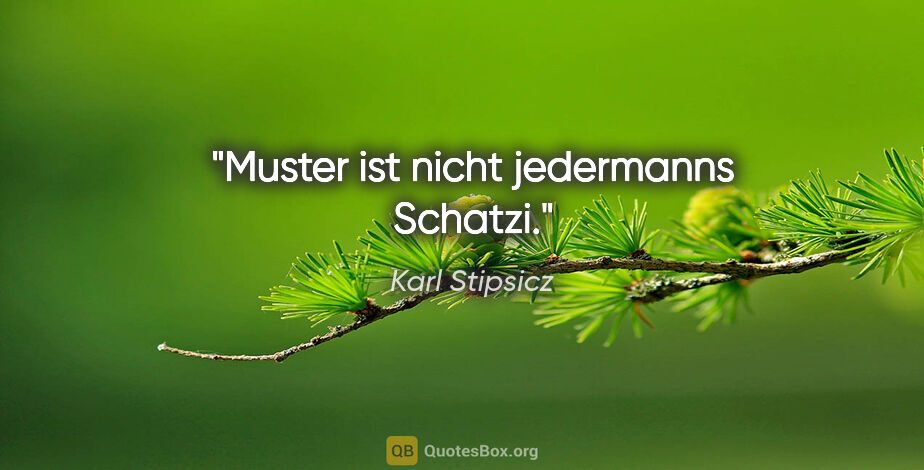 Karl Stipsicz Zitat: "Muster ist nicht jedermanns Schatzi."