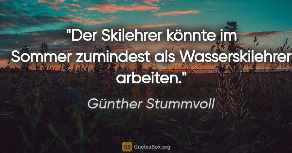 Günther Stummvoll Zitat: "Der Skilehrer könnte im Sommer zumindest als Wasserskilehrer..."