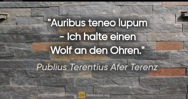 Publius Terentius Afer Terenz Zitat: "Auribus teneo lupum - Ich halte einen Wolf an den Ohren."