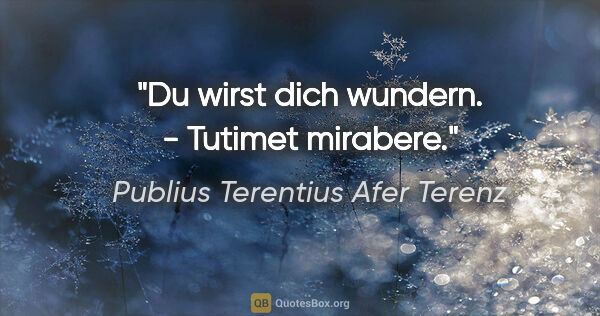 Publius Terentius Afer Terenz Zitat: "Du wirst dich wundern. - Tutimet mirabere."
