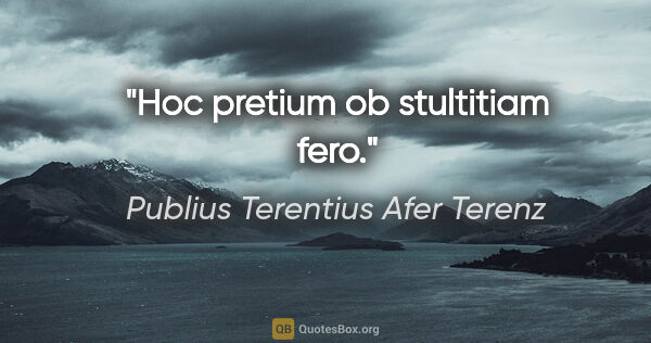 Publius Terentius Afer Terenz Zitat: "Hoc pretium ob stultitiam fero."