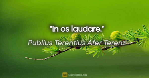 Publius Terentius Afer Terenz Zitat: "In os laudare."