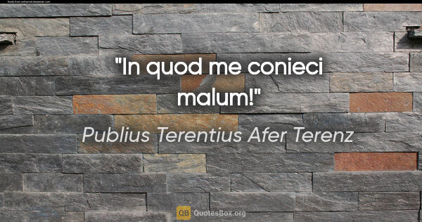 Publius Terentius Afer Terenz Zitat: "In quod me conieci malum!"