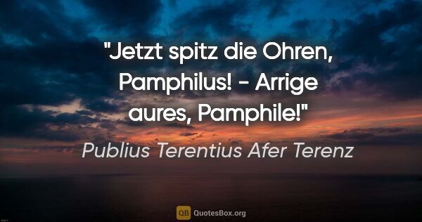 Publius Terentius Afer Terenz Zitat: "Jetzt spitz die Ohren, Pamphilus! - Arrige aures, Pamphile!"