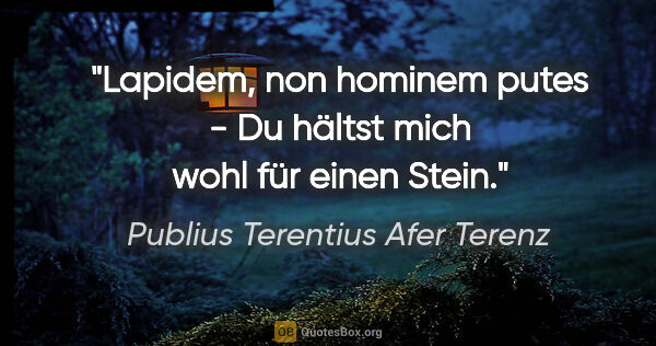 Publius Terentius Afer Terenz Zitat: "Lapidem, non hominem putes - Du hältst mich wohl für einen Stein."