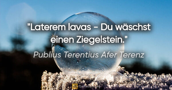 Publius Terentius Afer Terenz Zitat: "Laterem lavas - Du wäschst einen Ziegelstein."