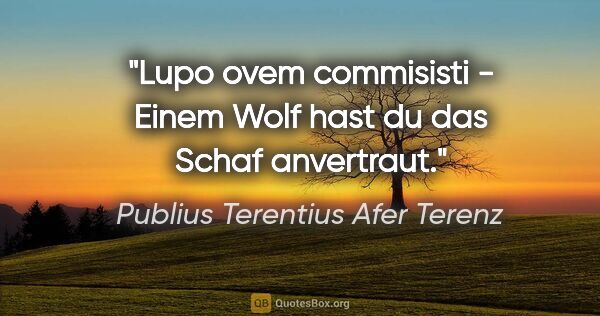 Publius Terentius Afer Terenz Zitat: "Lupo ovem commisisti - Einem Wolf hast du das Schaf anvertraut."