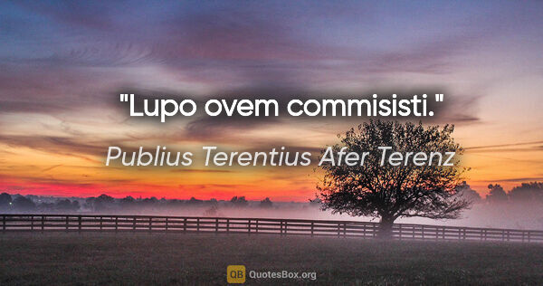 Publius Terentius Afer Terenz Zitat: "Lupo ovem commisisti."