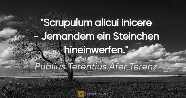 Publius Terentius Afer Terenz Zitat: "Scrupulum alicui inicere - Jemandem ein Steinchen hineinwerfen."