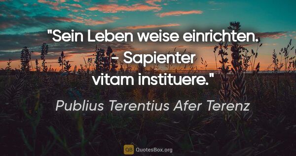 Publius Terentius Afer Terenz Zitat: "Sein Leben weise einrichten. - Sapienter vitam instituere."