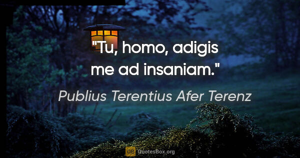 Publius Terentius Afer Terenz Zitat: "Tu, homo, adigis me ad insaniam."