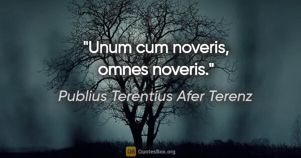 Publius Terentius Afer Terenz Zitat: "Unum cum noveris, omnes noveris."