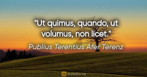 Publius Terentius Afer Terenz Zitat: "Ut quimus, quando, ut volumus, non licet."