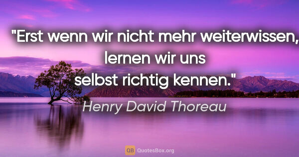 Henry David Thoreau Zitat: "Erst wenn wir nicht mehr weiterwissen, lernen wir uns selbst..."