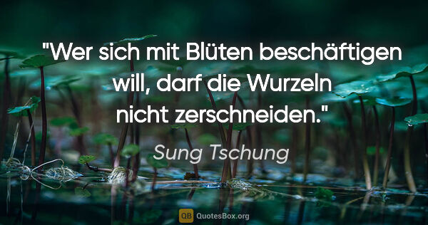 Sung Tschung Zitat: "Wer sich mit Blüten beschäftigen will, darf die Wurzeln nicht..."