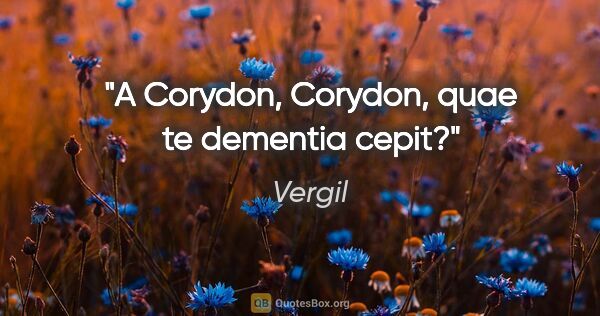 Vergil Zitat: "A Corydon, Corydon, quae te dementia cepit?"