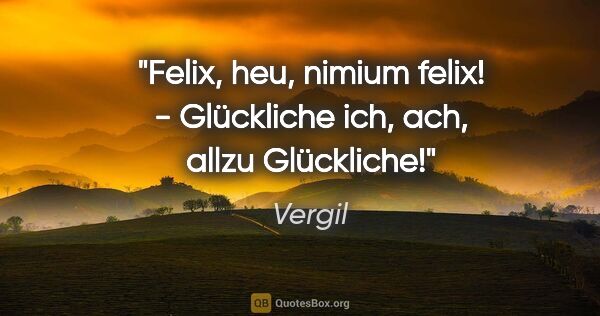 Vergil Zitat: "Felix, heu, nimium felix! - Glückliche ich, ach, allzu..."