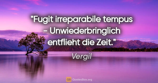 Vergil Zitat: "Fugit irreparabile tempus - Unwiederbringlich entflieht die Zeit."