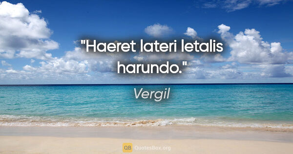 Vergil Zitat: "Haeret lateri letalis harundo."