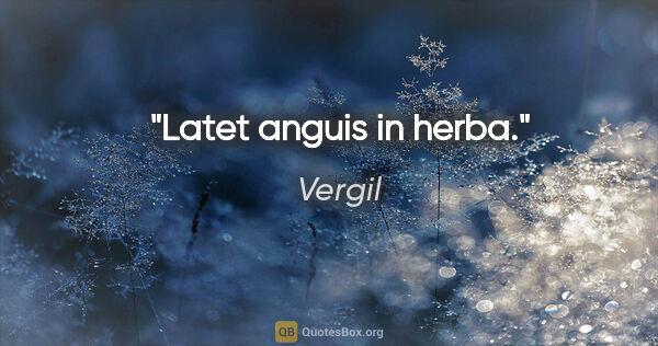 Vergil Zitat: "Latet anguis in herba."